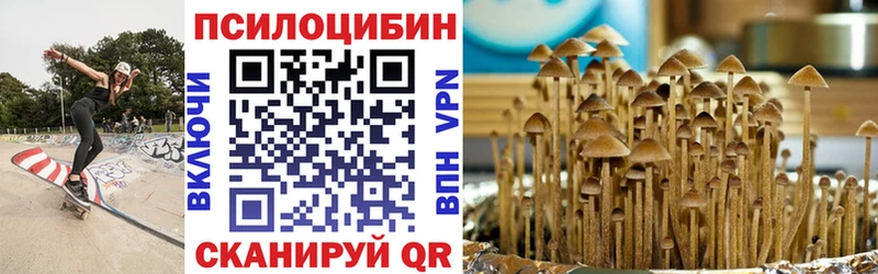цены Красавино Галлюциногенные грибы мицелий